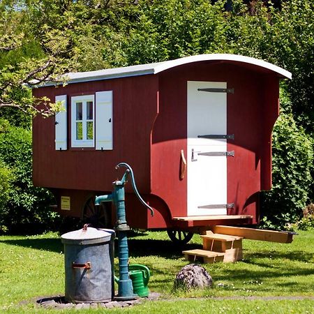 דירות גרסאו Haus Am Salinenweg מראה חיצוני תמונה